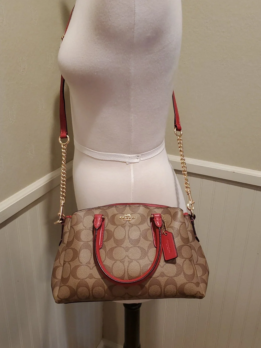 NEW Coach Mini Sage Signature Carryall